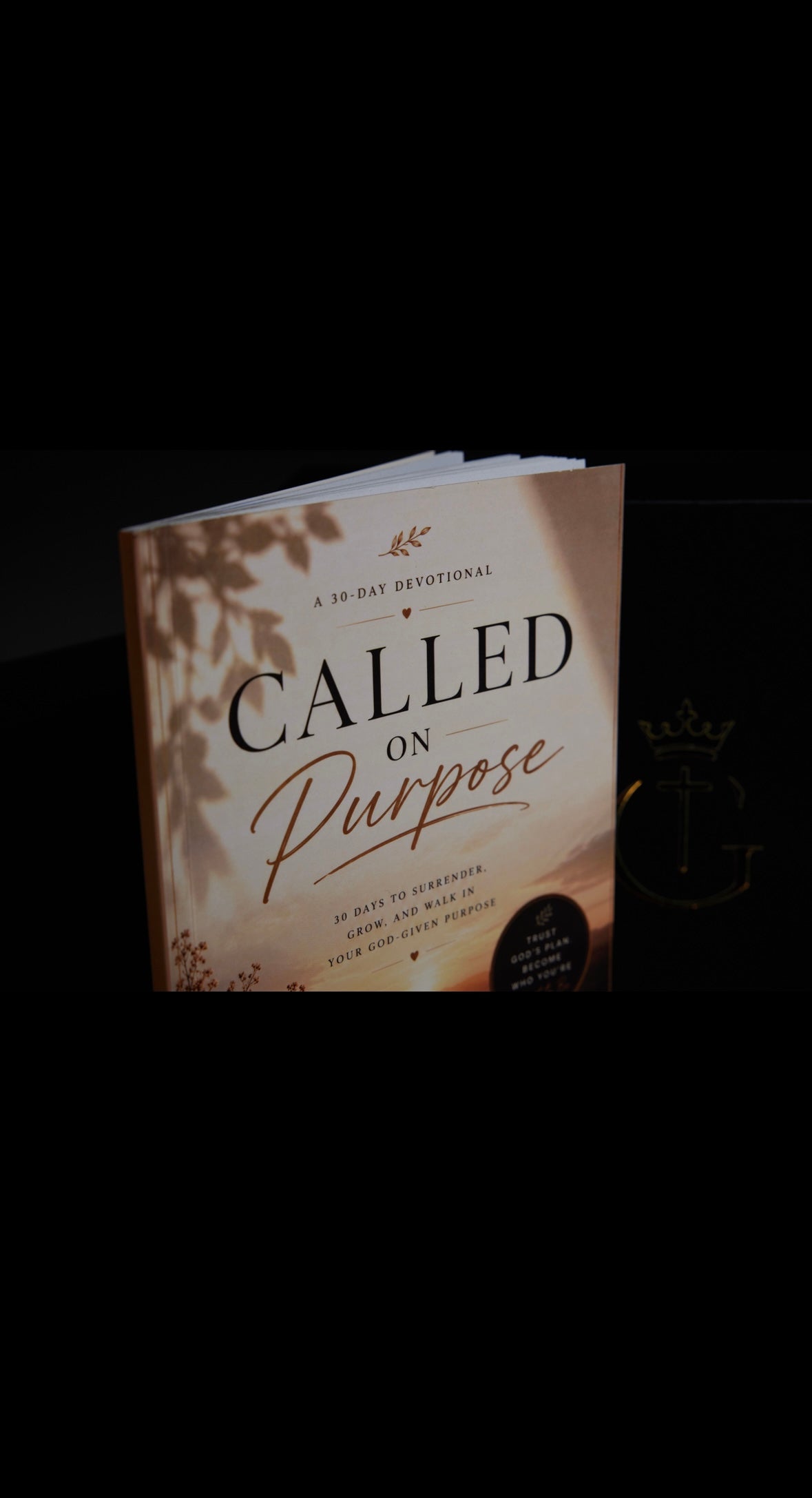 The Purpose Box